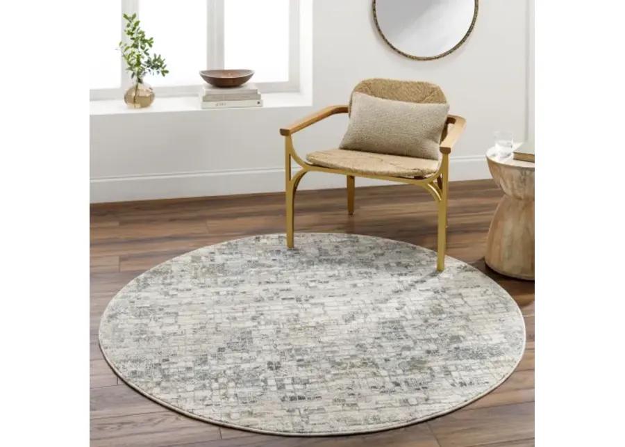 Dresden DRE-2304 12' x 15' Machine Woven Rug