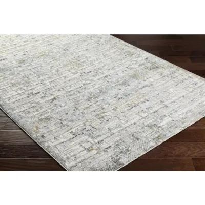 Dresden DRE-2304 12' x 15' Machine Woven Rug