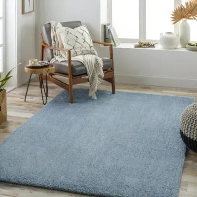 Cloudy Shag CDG-2305 5'3" x 7' Machine Woven Rug