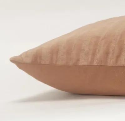 transitional  camel Pillow