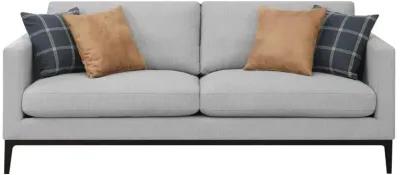 Brandy Cushioned Back Sofa