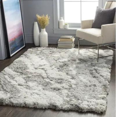 Alta shag 5'3" x 7' Rug