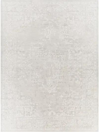 Aisha 2'7" x 5' Rug