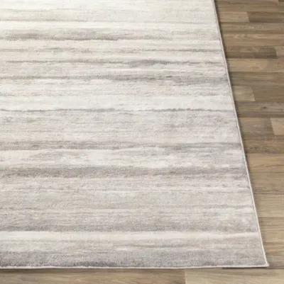 Roma 9'10" x 14' Rug