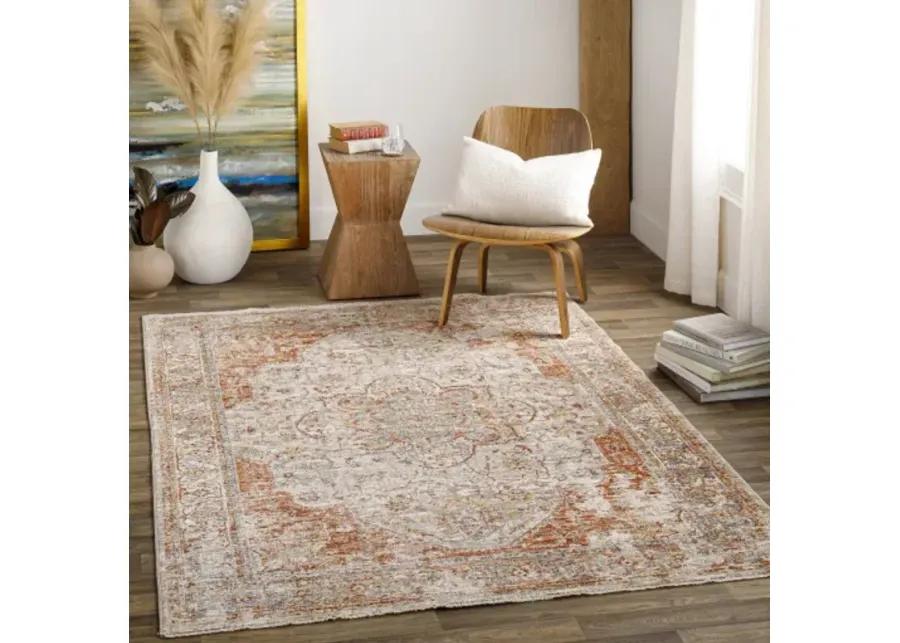 Aspendos APS-2305 2'7" x 10' Rug