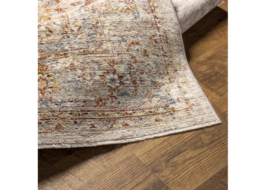 Aspendos APS-2305 2'7" x 10' Rug