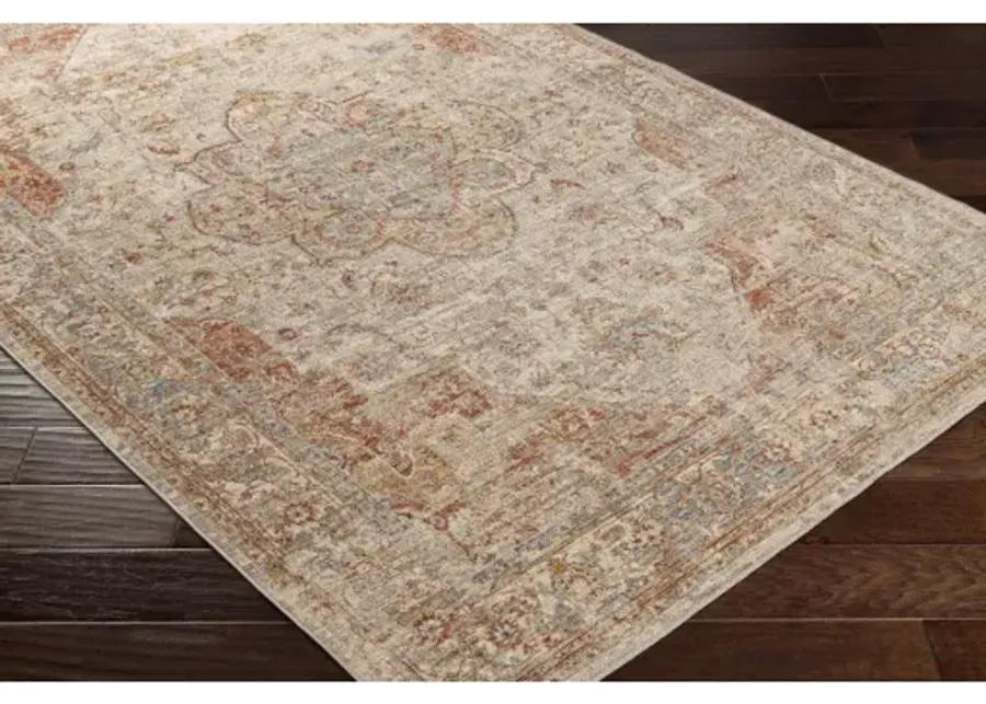 Aspendos APS-2305 2'7" x 10' Rug