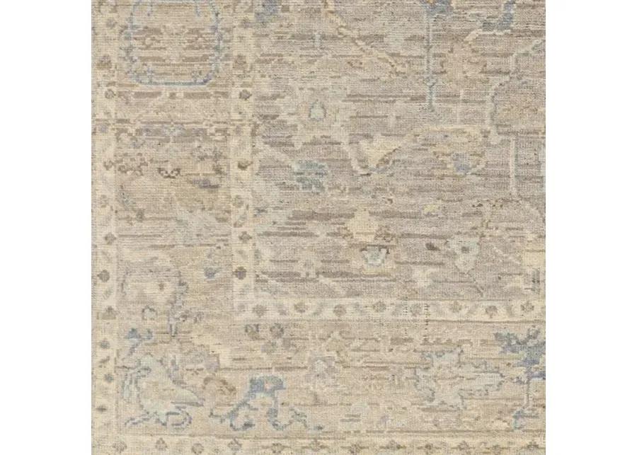 Reign REG-2322 8' x 10' Handmade Rug