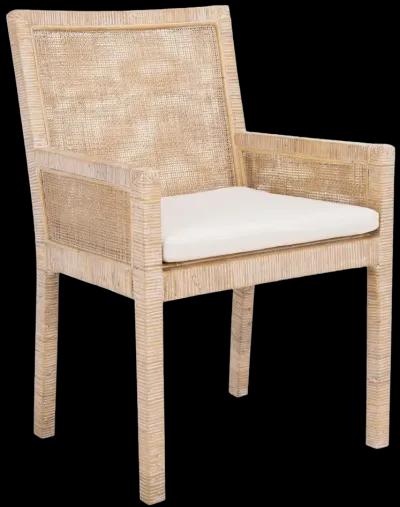 SARAI Dining CHAIR W/ CUSHION