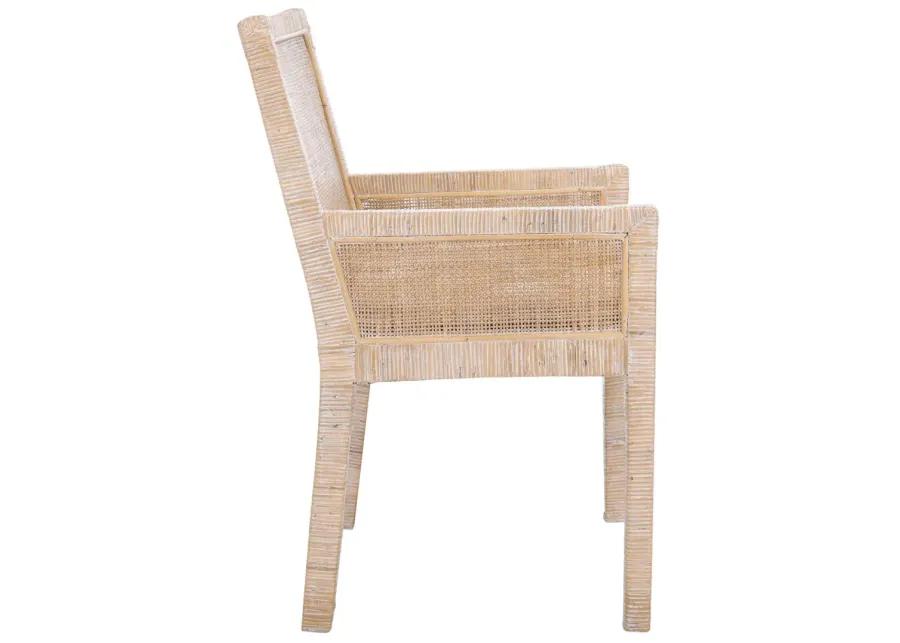 SARAI Dining CHAIR W/ CUSHION