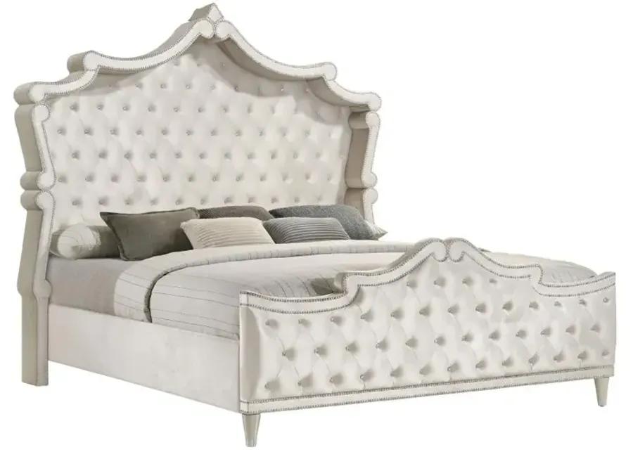 Antonella 4-Piece Eastern King Upholstered Tufted Bedroom Set Ivory and Camel