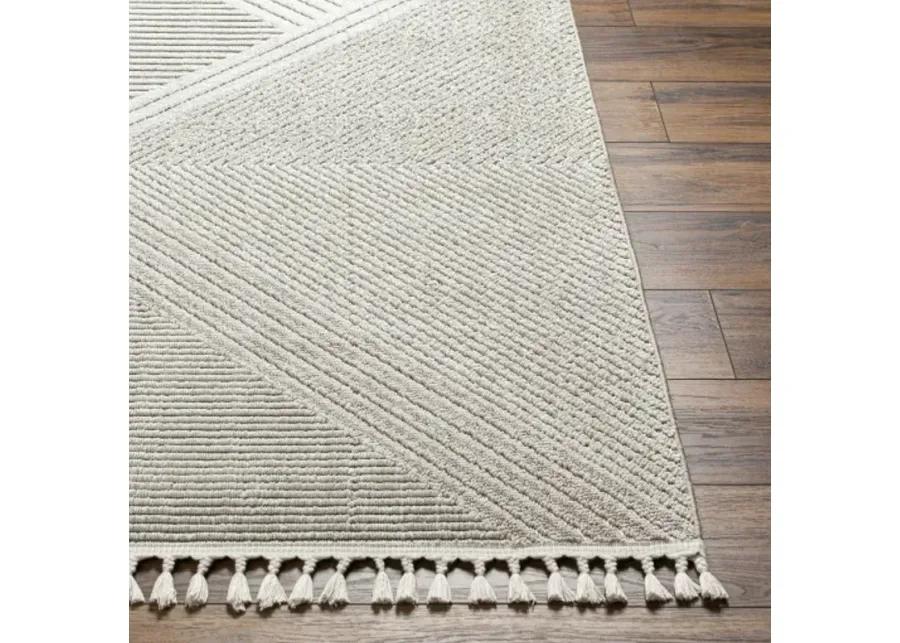 Finland FND-2304 2'2" x 3'9" Machine Woven Rug