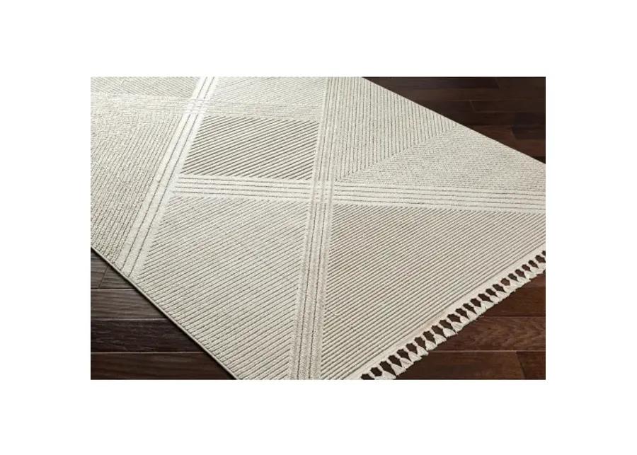 Finland FND-2304 2'2" x 3'9" Machine Woven Rug