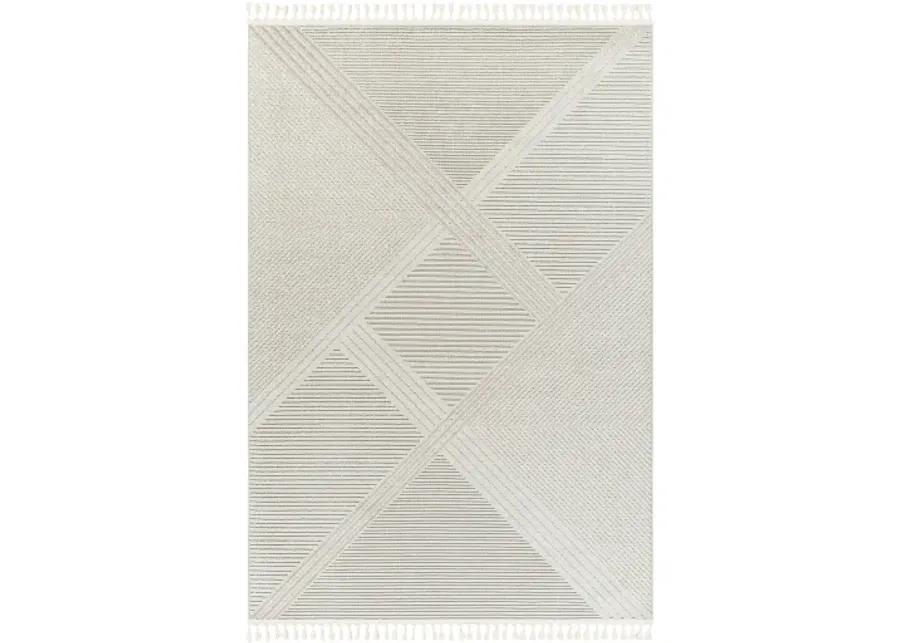 Finland FND-2304 2'2" x 3'9" Machine Woven Rug