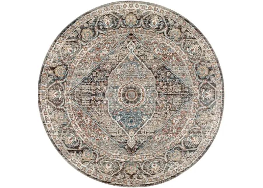 Carlisle CSI-2307 2'11" x 7'3" Rug