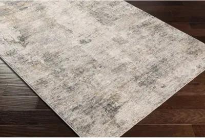 Cardiff CDF-2304 2'7" x 10' Rug