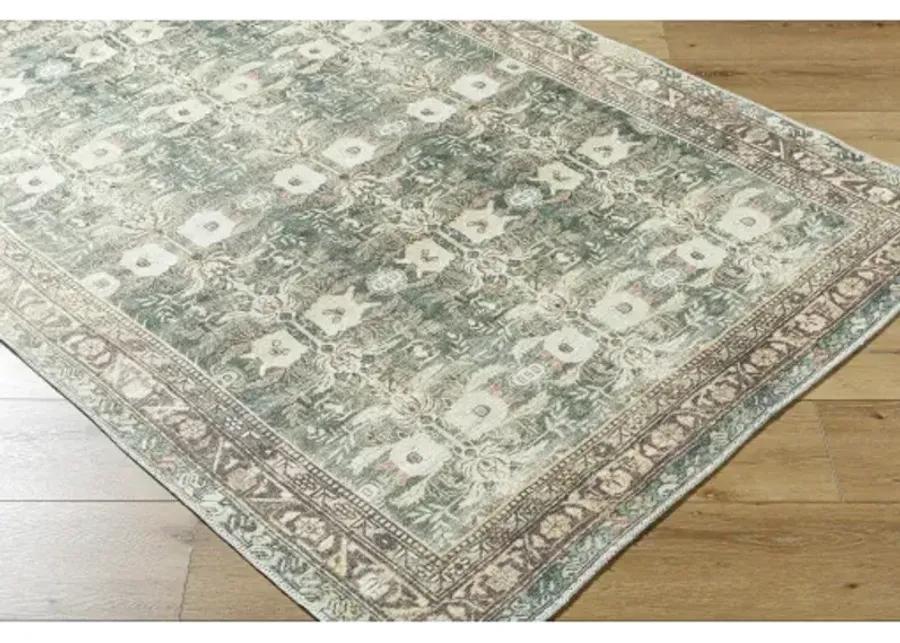 Amelie AML-2396 5'3" x 7'3" Machine Woven Rug