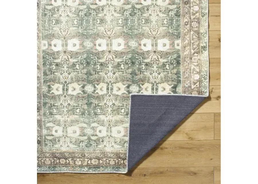 Amelie AML-2396 5'3" x 7'3" Machine Woven Rug