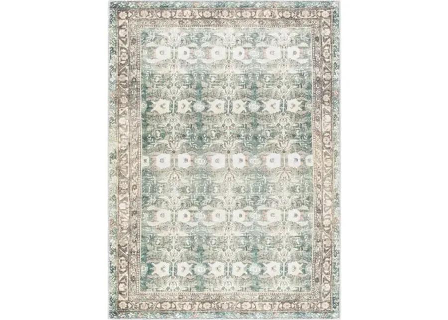 Amelie AML-2396 5'3" x 7'3" Machine Woven Rug