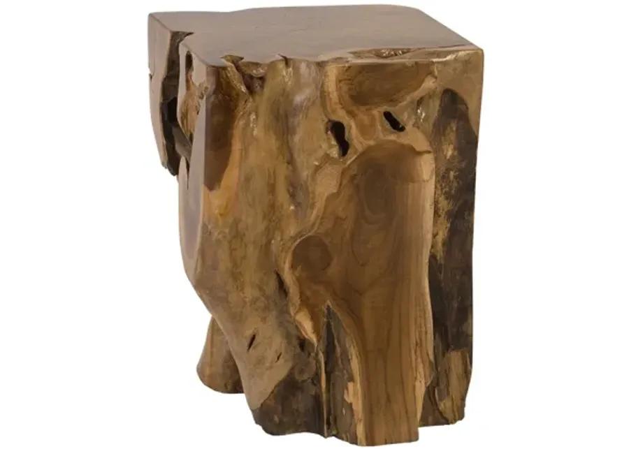 Teak Root Side Table