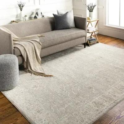 Avant Garde AVT-2304 2'7" x 7'3" Rug