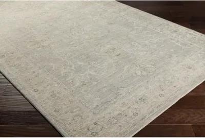 Avant Garde AVT-2304 2'7" x 7'3" Rug