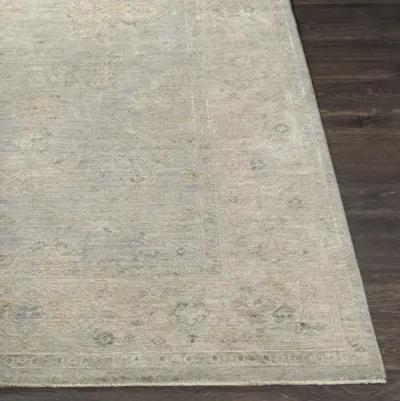 Avant Garde AVT-2304 2'7" x 7'3" Rug