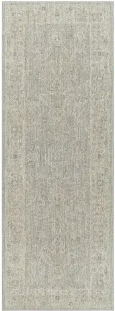 Avant Garde AVT-2304 2'7" x 7'3" Rug