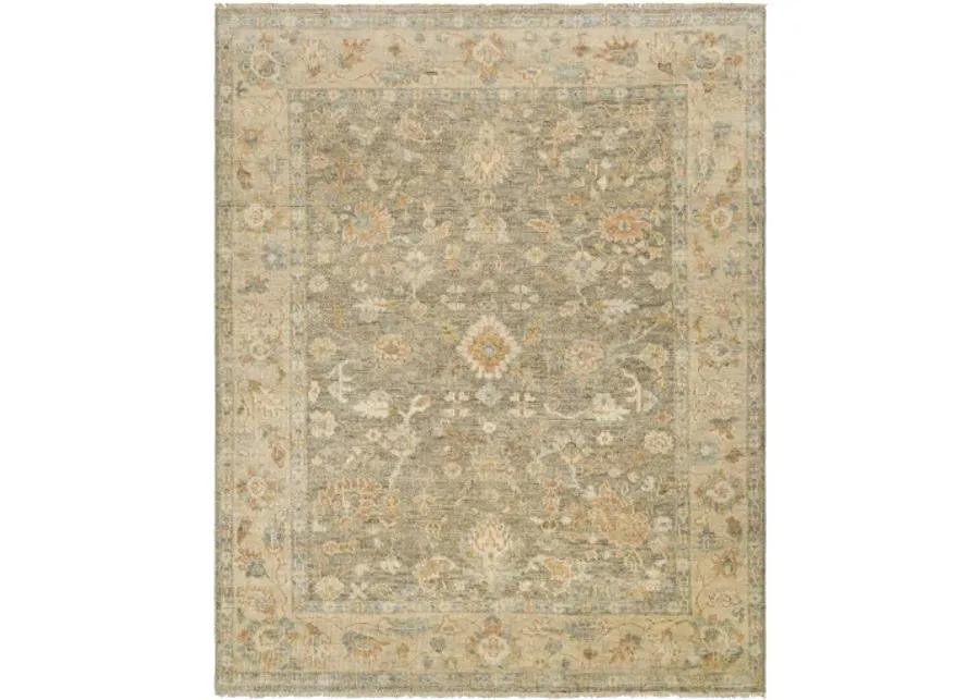 Biscayne BSY-2318 9' x 12' Handmade Rug