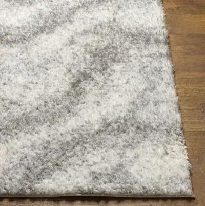 Cloudy Shag CDG-2306 5'3" x 7' Machine Woven Rug