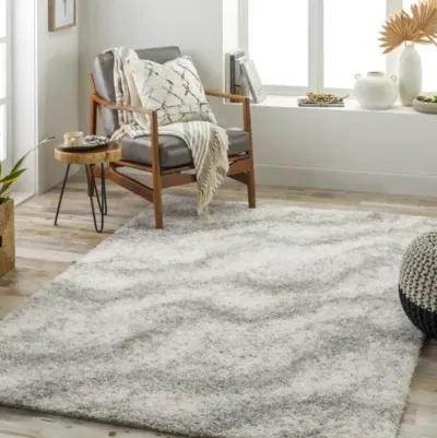 Cloudy Shag CDG-2306 5'3" x 7' Machine Woven Rug