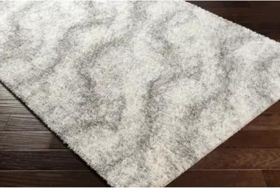 Cloudy Shag CDG-2306 5'3" x 7' Machine Woven Rug