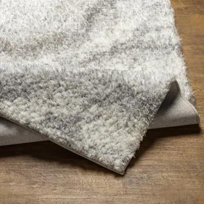 Cloudy Shag CDG-2306 5'3" x 7' Machine Woven Rug