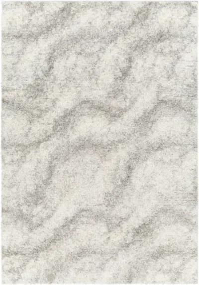 Cloudy Shag CDG-2306 5'3" x 7' Machine Woven Rug