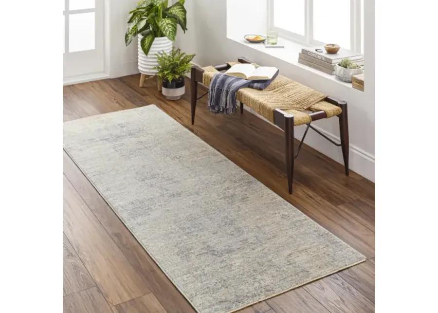 Avant Garde AVT-2345 2'7" x 10' Rug