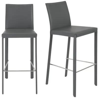 Hasina Bar Stool in Gray with Polished Stainless Steel Legs  - Set of 2