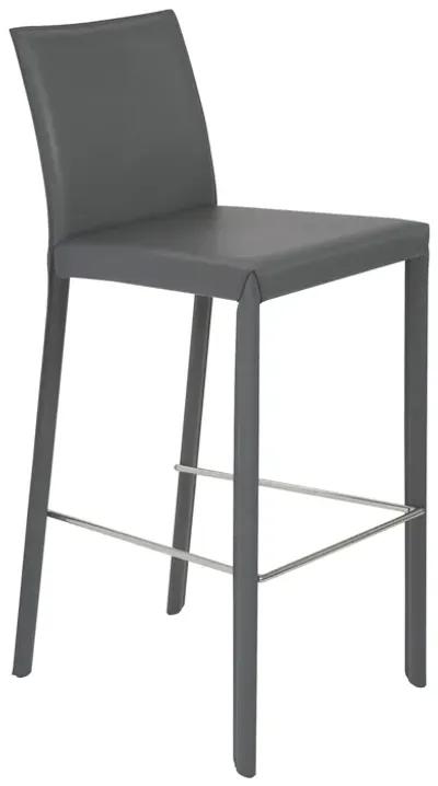 Hasina Bar Stool in Gray with Polished Stainless Steel Legs  - Set of 2