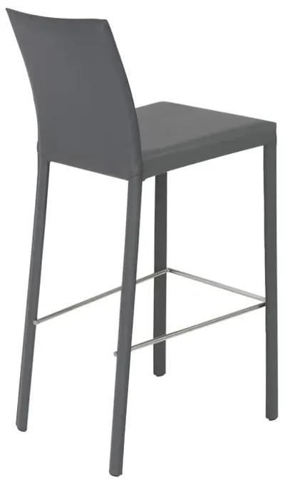 Hasina Bar Stool in Gray with Polished Stainless Steel Legs  - Set of 2