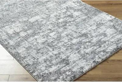 Andorra Plus ARP-2308 7'10" x 10' Machine Woven Rug