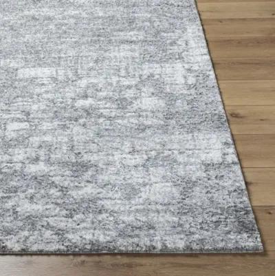 Andorra Plus ARP-2308 7'10" x 10' Machine Woven Rug