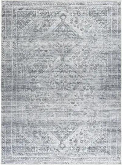 Embrace EMA-2312 3'11" x 5'11" Machine Woven Rug