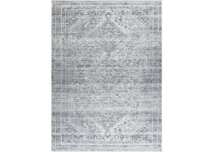 Embrace EMA-2312 3'11" x 5'11" Machine Woven Rug