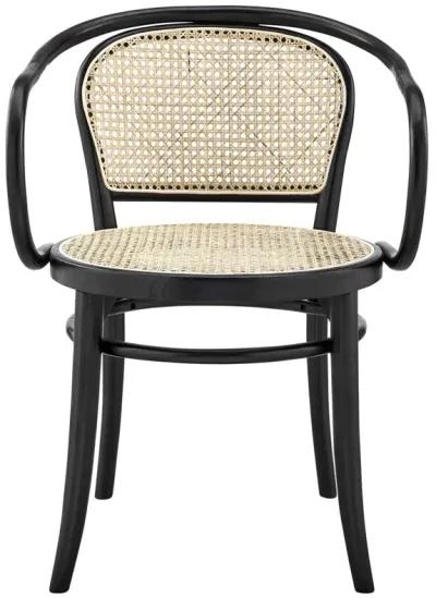 Oliana Wood Dining Armchair Set of 2