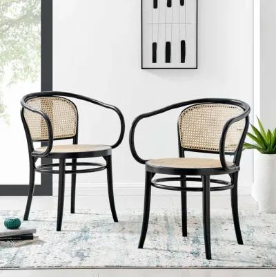 Oliana Wood Dining Armchair Set of 2