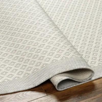 Ravello RVL-2388 7'10" x 10' Machine Woven Rug