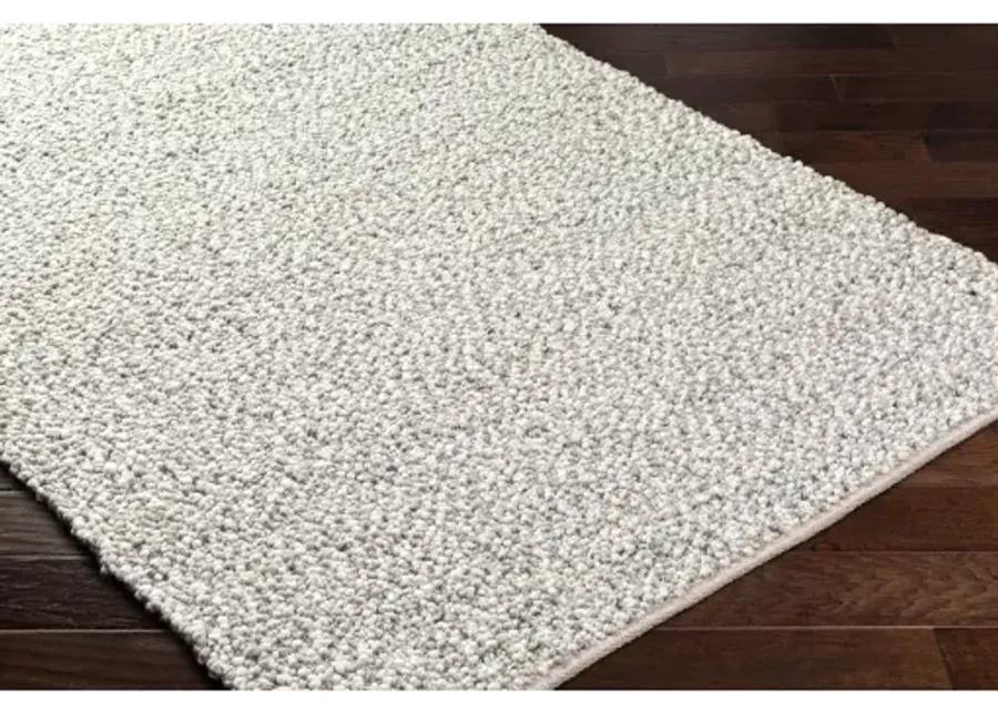 Super Pebble SPB-2301 5' x 7'6" Hand Made Rug