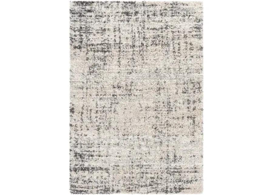 Eskimo Shag 5'3" x 7' Rug