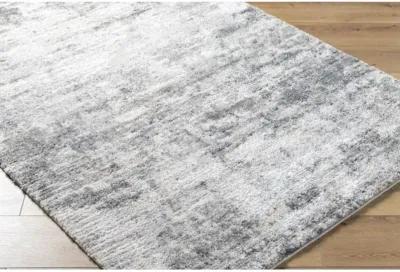 Portofino PTF-2320 6'7" x 9' Machine Woven Rug