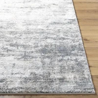 Portofino PTF-2320 6'7" x 9' Machine Woven Rug