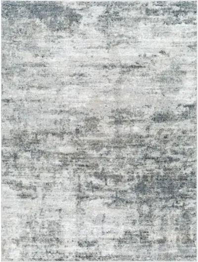 Portofino PTF-2320 6'7" x 9' Machine Woven Rug